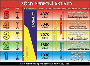 Zóny srdeční aktivity